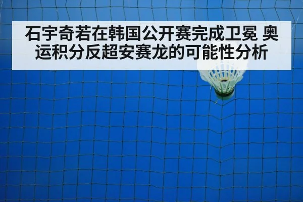 badminton shuttlecock on court
